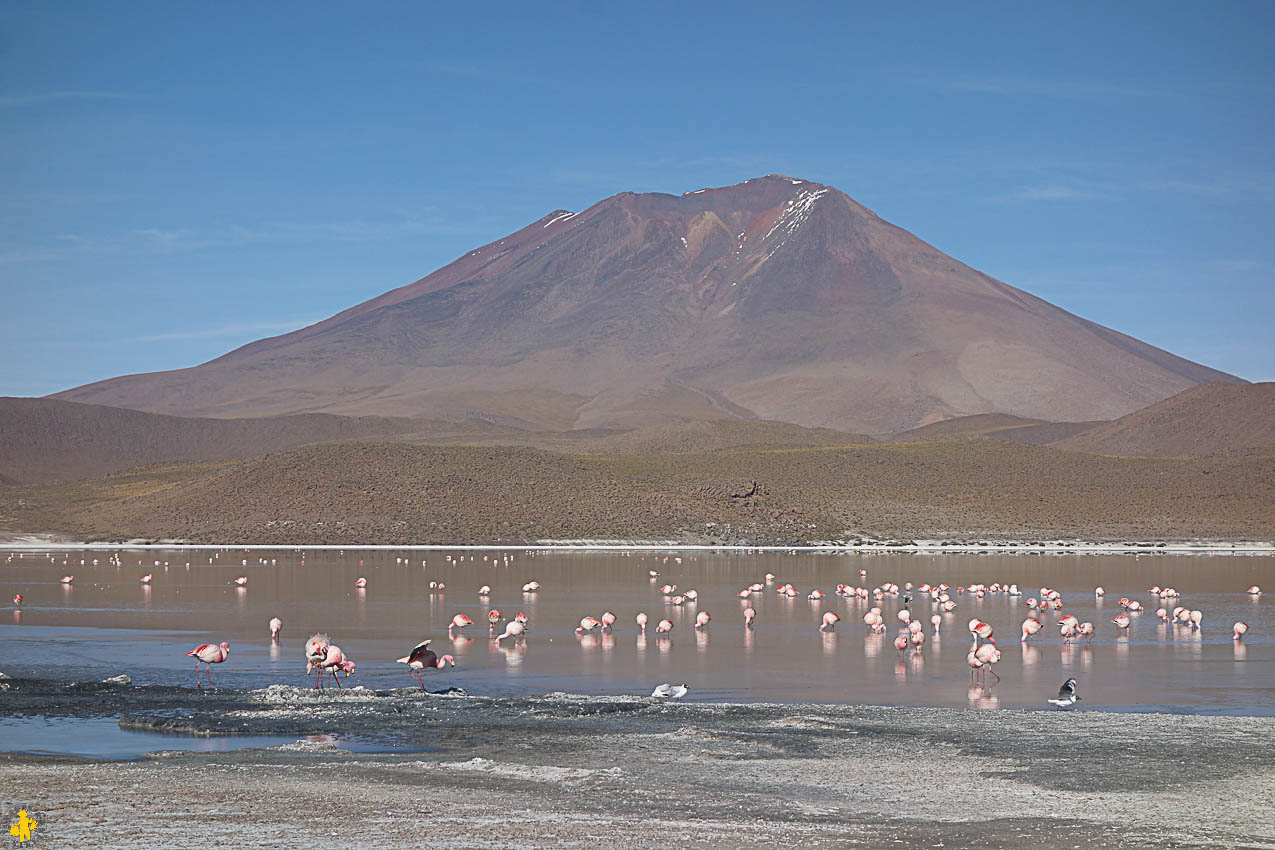 Tour Sud Lipez en autonomie en famille et en 4x4 | Blog VOYAGES ET ENFANTS