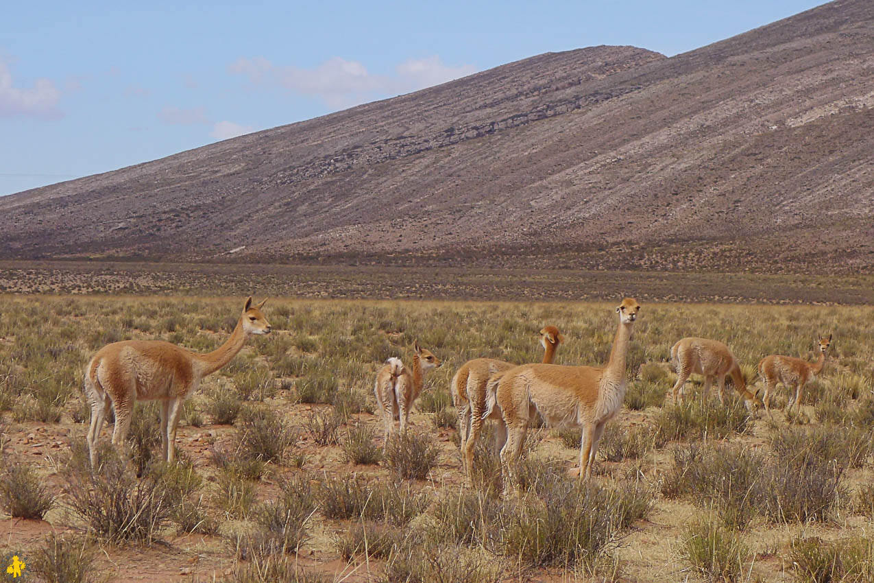 Boucle Nord de Salta Huamahuaca en famille | Blog VOYAGES ET ENFANTS