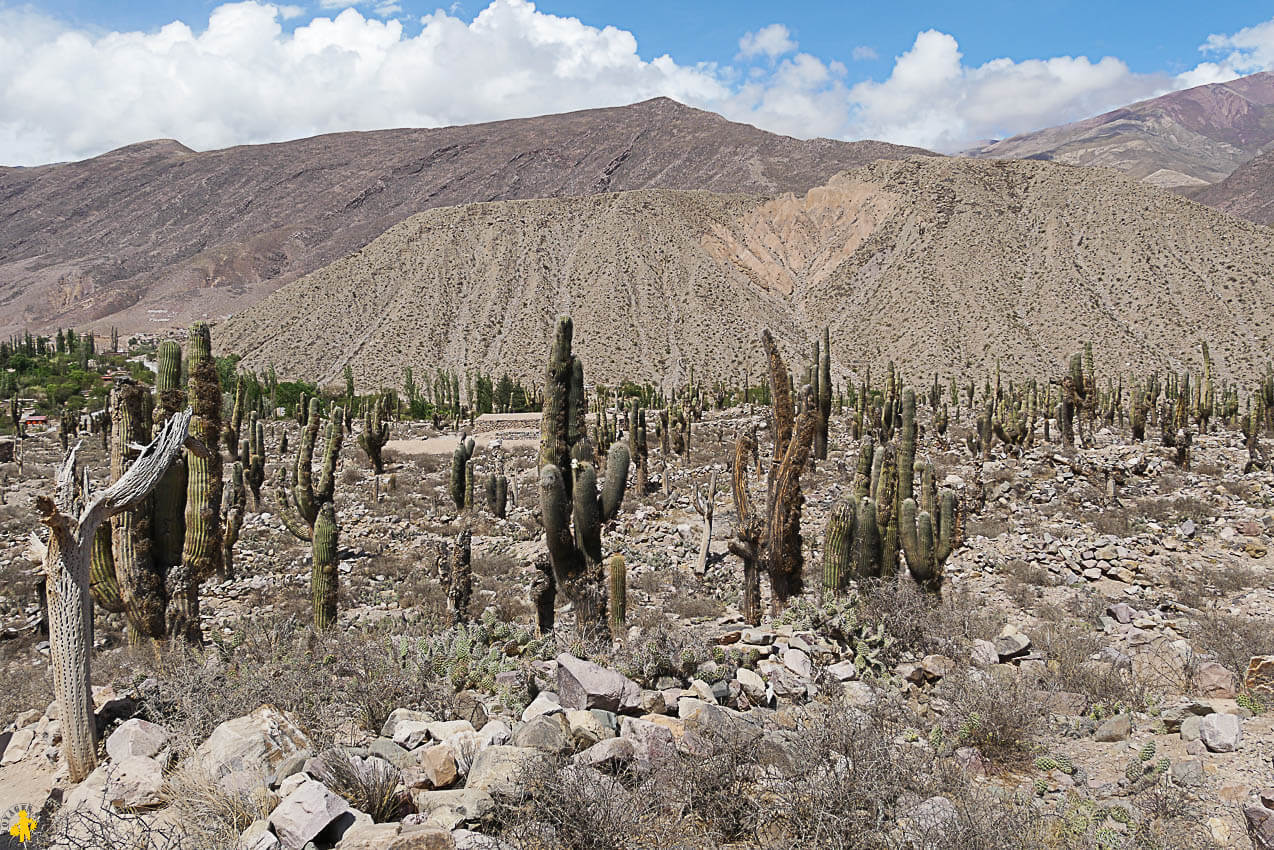 Boucle Nord de Salta Huamahuaca en famille | Blog VOYAGES ET ENFANTS