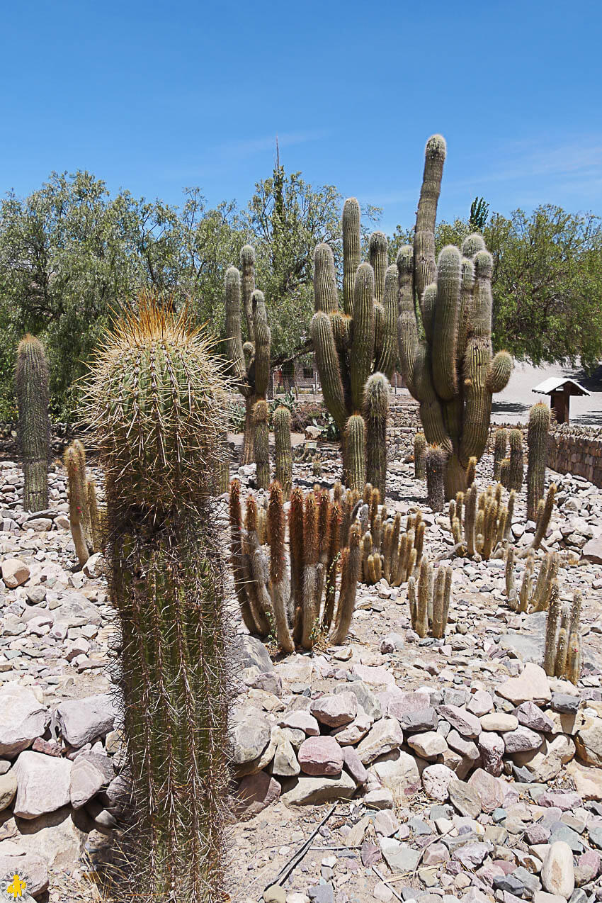 Boucle Nord de Salta Huamahuaca en famille | Blog VOYAGES ET ENFANTS