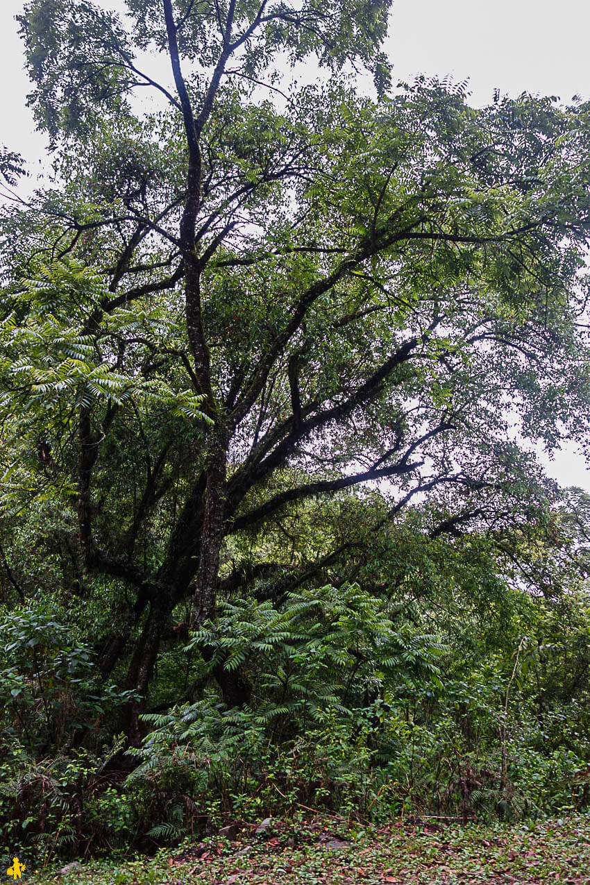 Boucle Nord de Salta Huamahuaca en famille | Blog VOYAGES ET ENFANTS