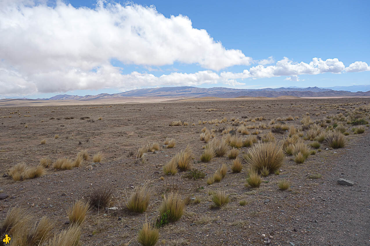 Le Sud de Salta en famille