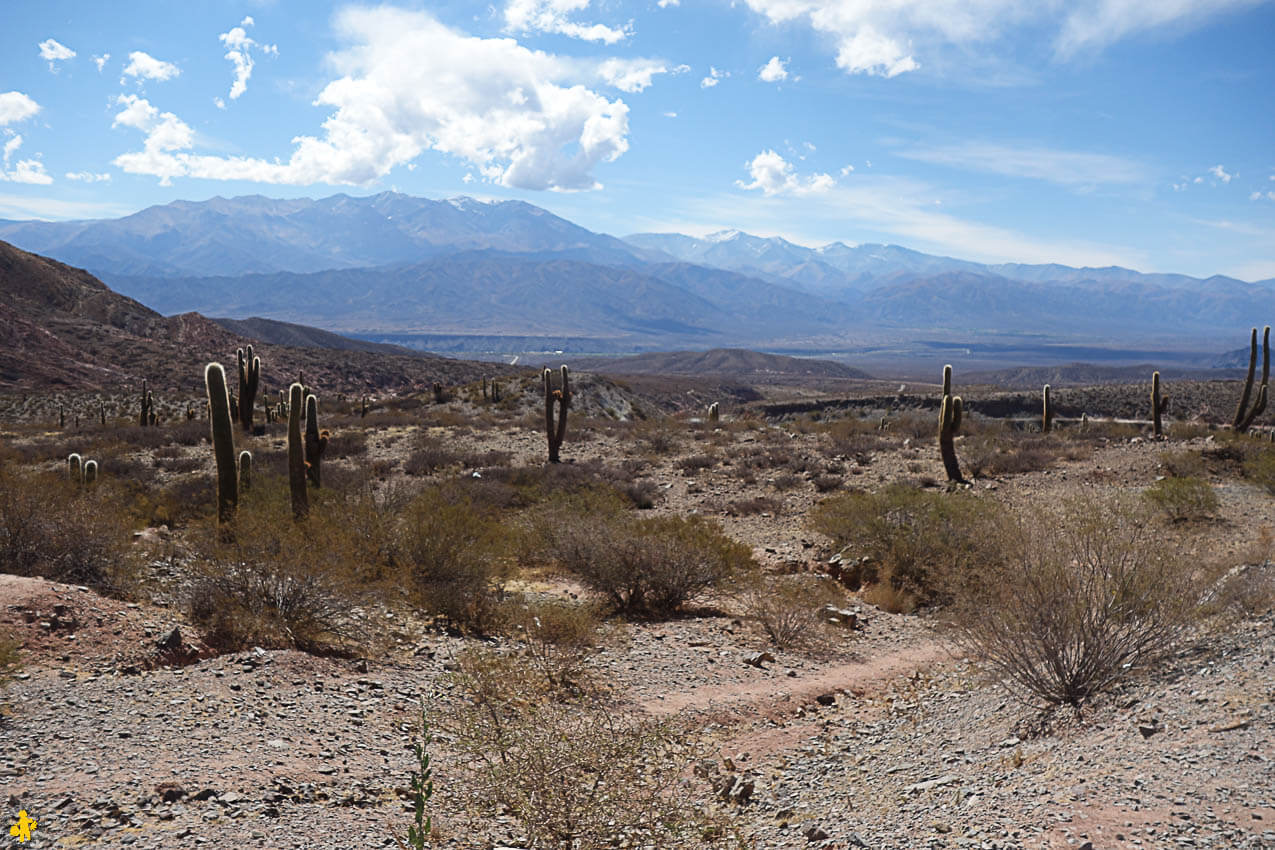 Road trip Sud de Salta boucle vallée de Cafayate et Cachi en famille | Blog VOYAGES ET ENFANTS