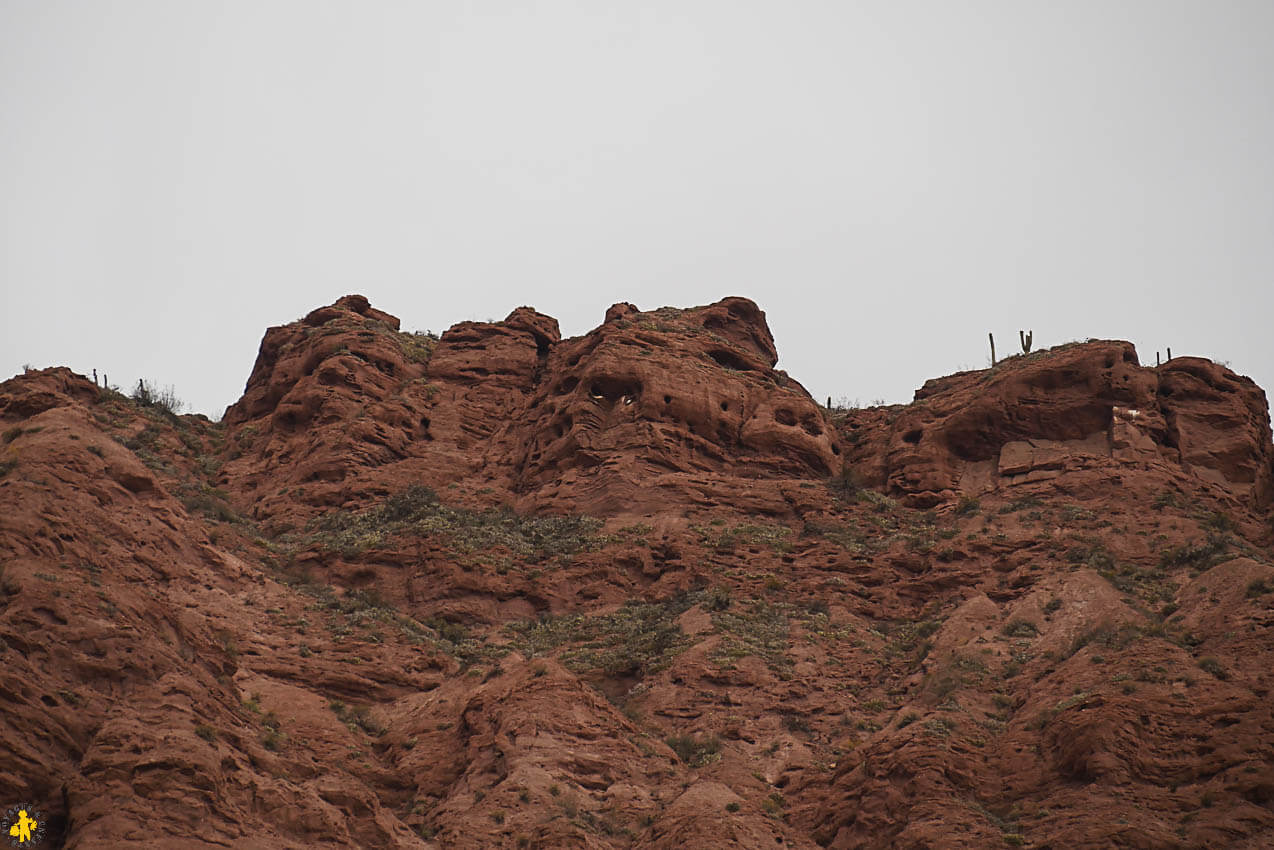 Road trip Sud de Salta boucle vallée de Cafayate et Cachi en famille | Blog VOYAGES ET ENFANTS