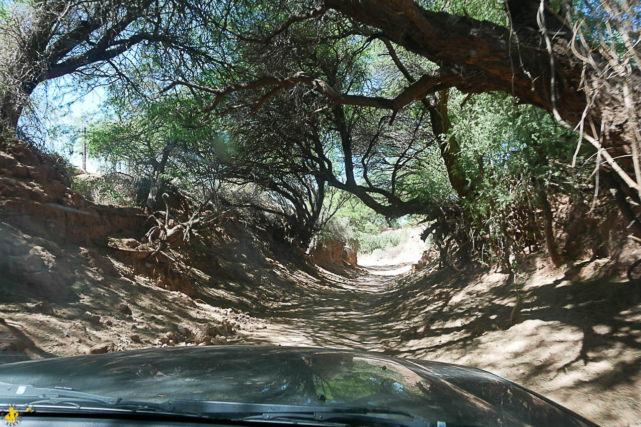 Le Sud de Salta en famille