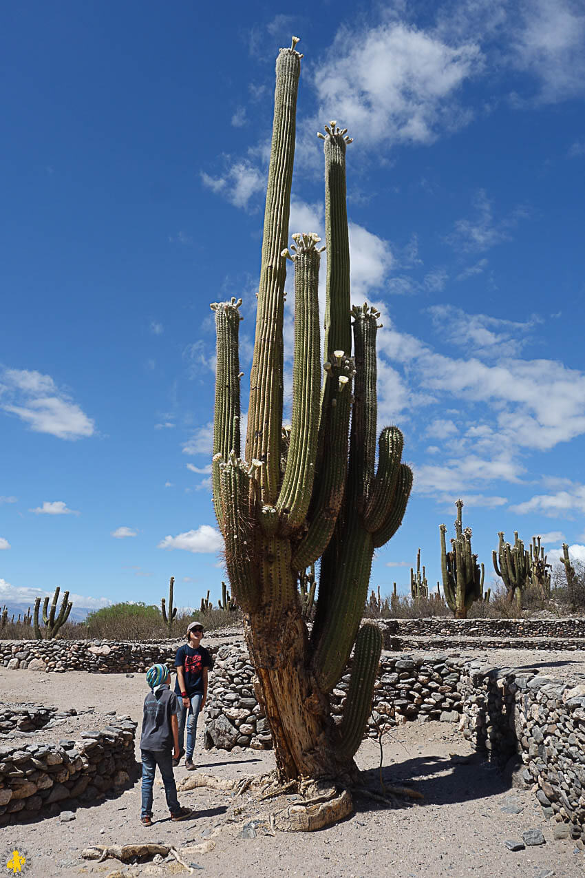 Road trip Sud de Salta boucle vallée de Cafayate et Cachi en famille | Blog VOYAGES ET ENFANTS