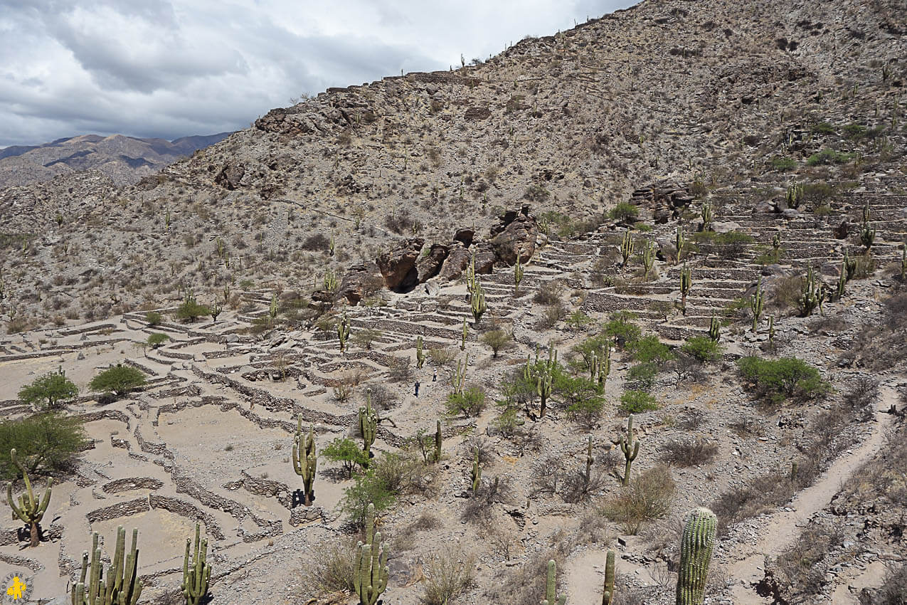 Road trip Sud de Salta boucle vallée de Cafayate et Cachi en famille | Blog VOYAGES ET ENFANTS