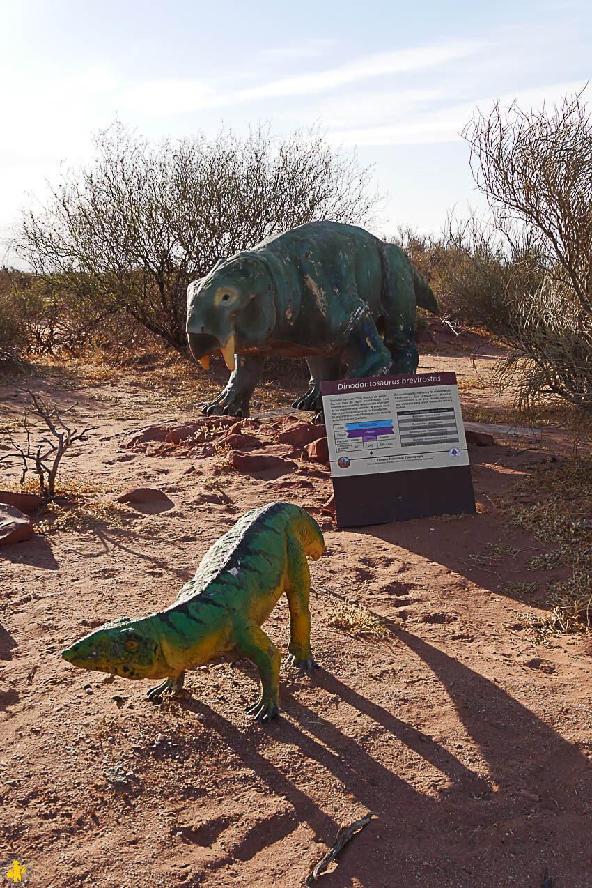 Ischilgualasto et Talampaya : quel parc visiter depuis la Rioja?