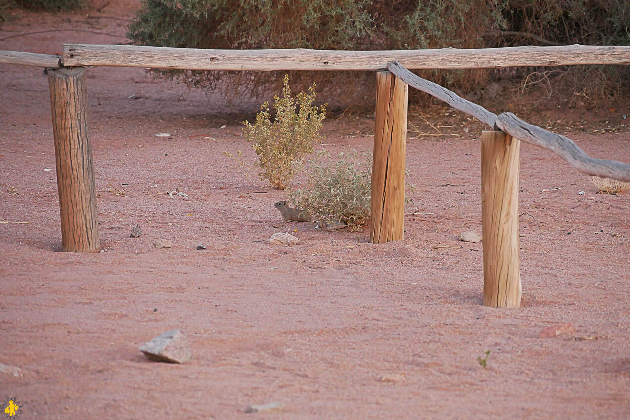 Ischigualasto Talampaya quel parc visiter en famille ou non | Blog VOYAGES ET ENFANTS