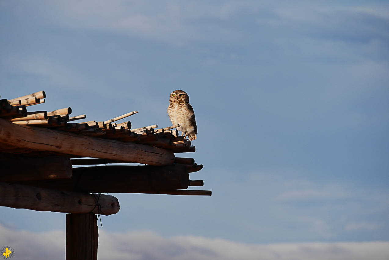 Ischigualasto Talampaya quel parc visiter en famille ou non | Blog VOYAGES ET ENFANTS