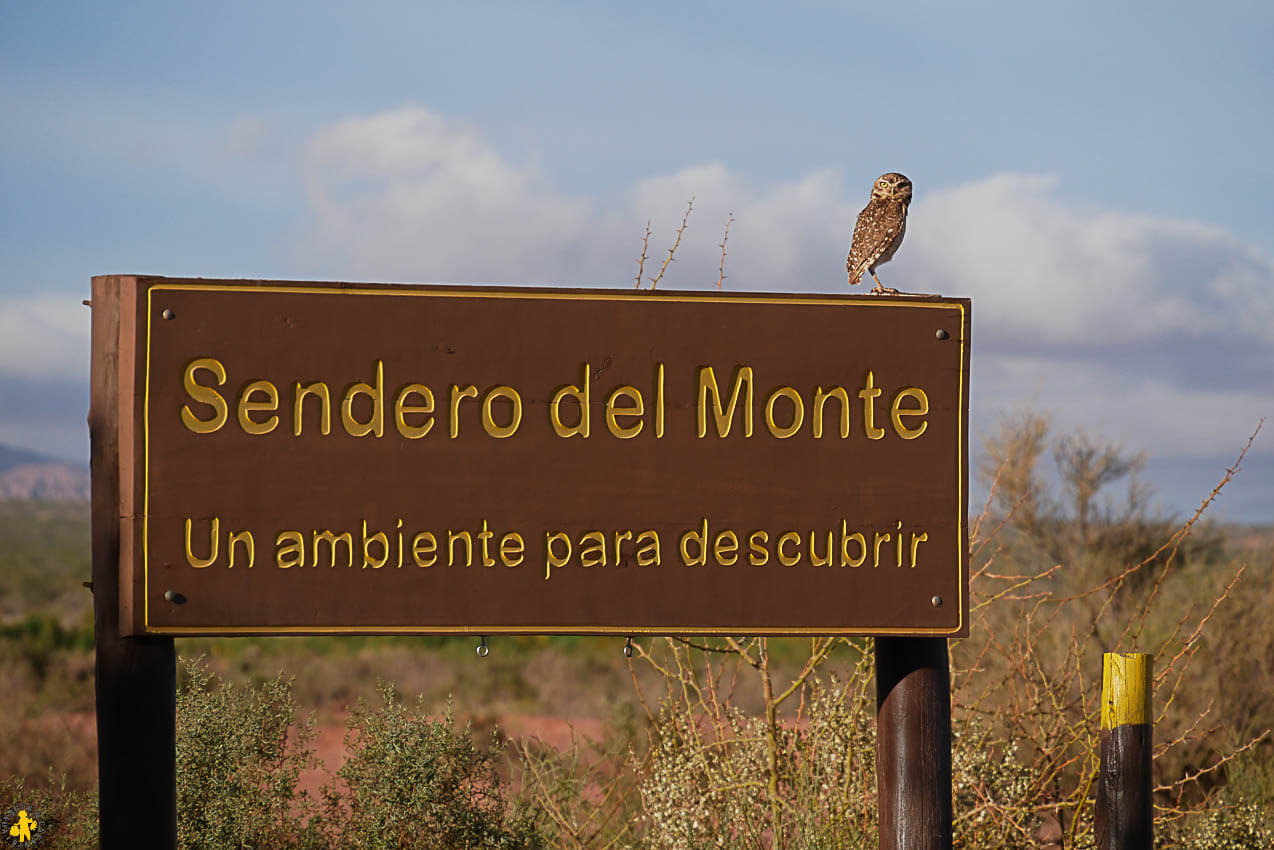 Ischigualasto Talampaya quel parc visiter en famille ou non | Blog VOYAGES ET ENFANTS