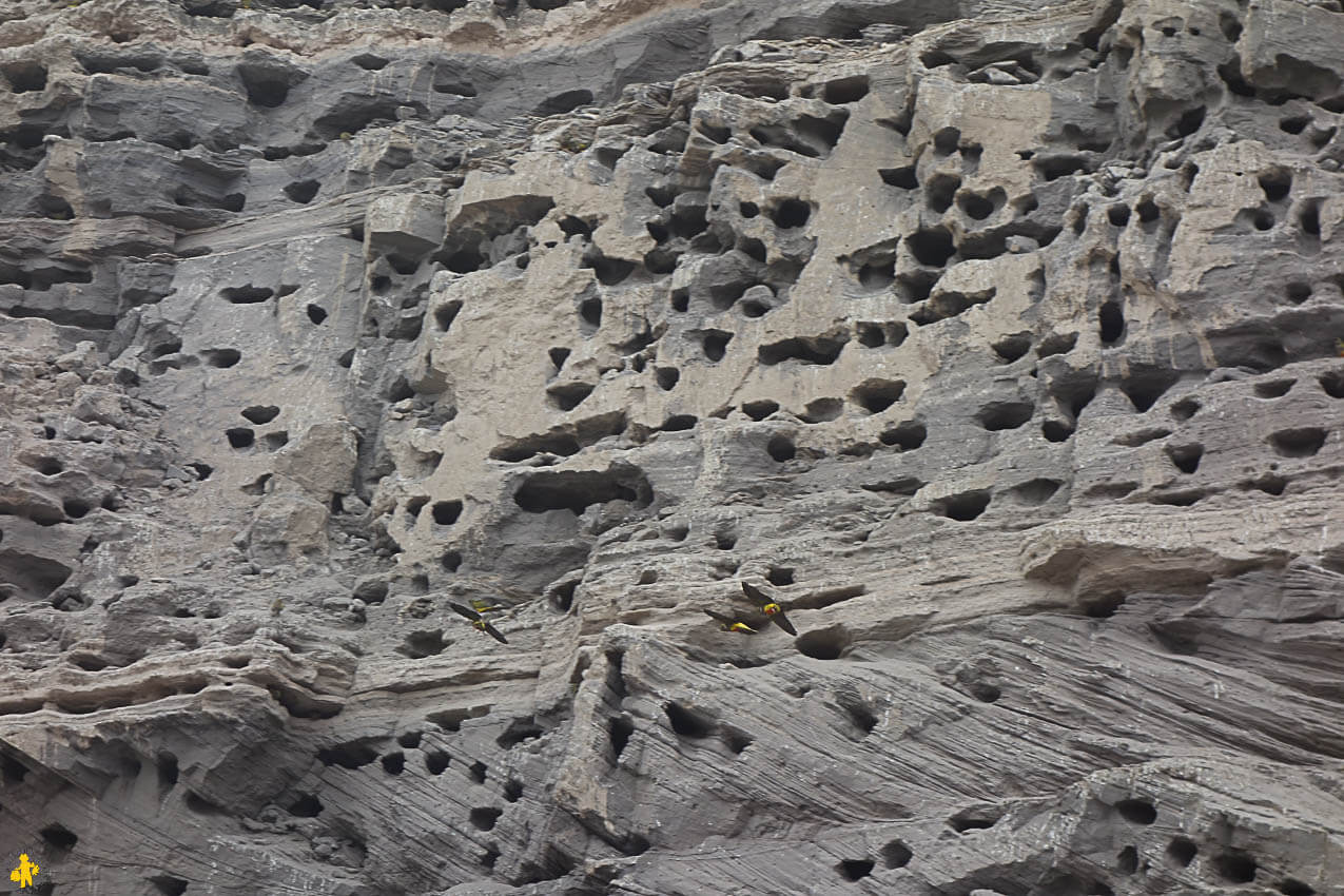 Route 1 de Viedma à las Grutas Argentine en 4x4 et en famille | Blog VOYAGES ET ENFANTS