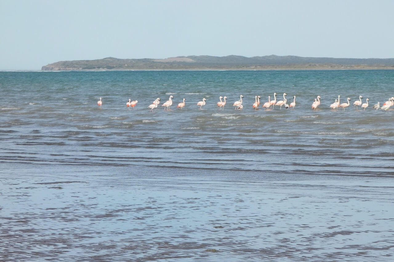 Route 1 de Viedma à las Grutas Argentine en 4x4 et en famille | Blog VOYAGES ET ENFANTS