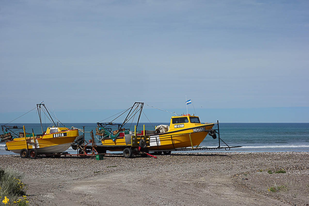 Route 1 de Viedma à las Grutas Argentine en 4x4 et en famille | Blog VOYAGES ET ENFANTS