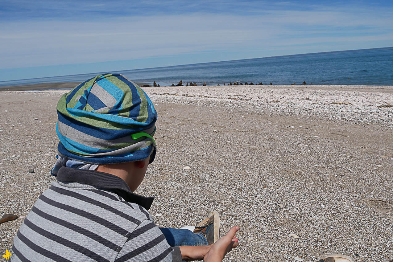 Route 1 de Viedma à las Grutas Argentine en 4x4 et en famille | Blog VOYAGES ET ENFANTS