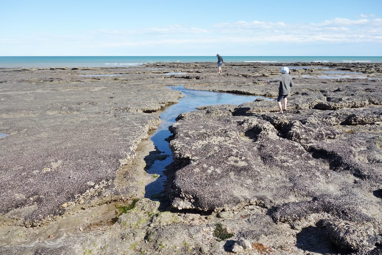 Route 1 de Viedma à las Grutas Argentine en 4x4 et en famille | Blog VOYAGES ET ENFANTS