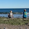 Cape Cod en famille en mode camping | Blog VOYAGES ET ENFANTS