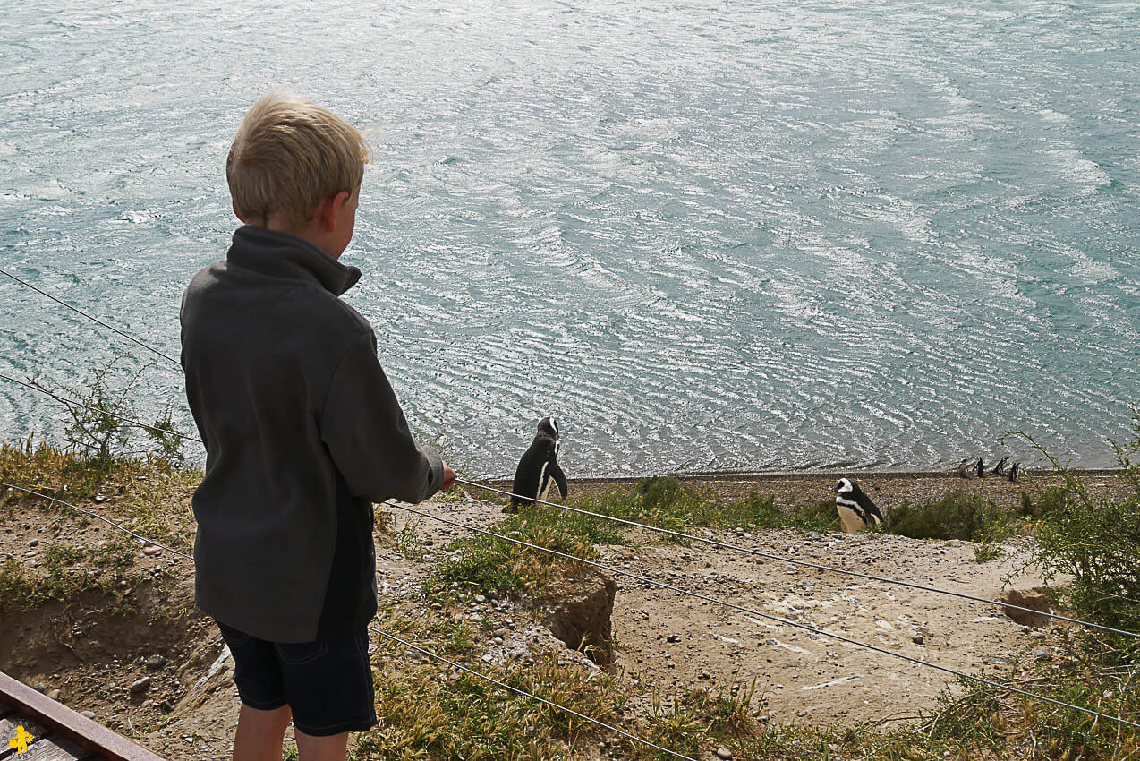 Peninsule Valdes quand comment la visiter en famille | Blog VOYAGES ET ENFANTS