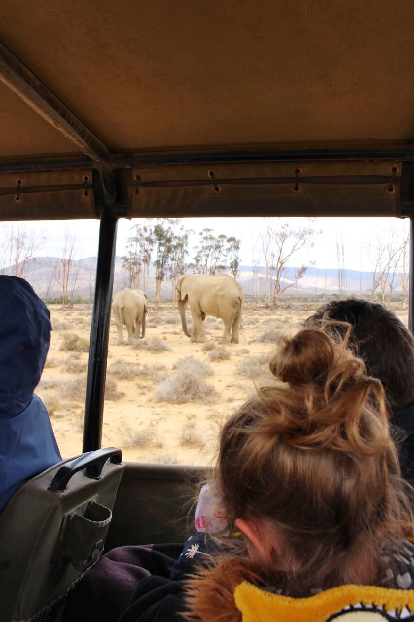 Visite de Cape Town en famille Le Cap avec enfant | Blog VOYAGES ET ENFANTS