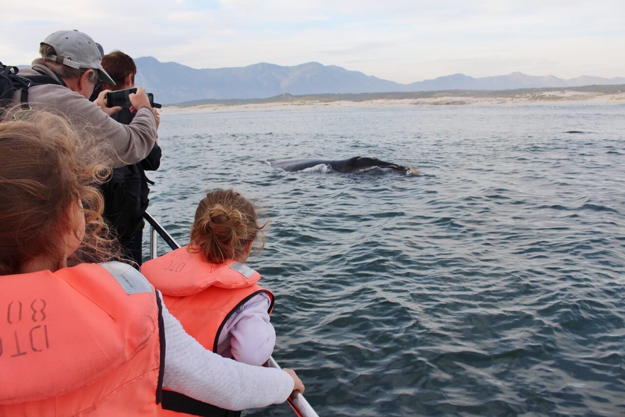 Visite de Cape Town en famille Le Cap avec enfant | Blog VOYAGES ET ENFANTS