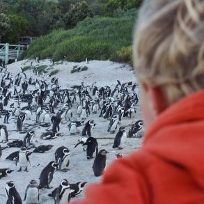 Visite de Cape Town en famille Le Cap avec enfant | Blog VOYAGES ET ENFANTS