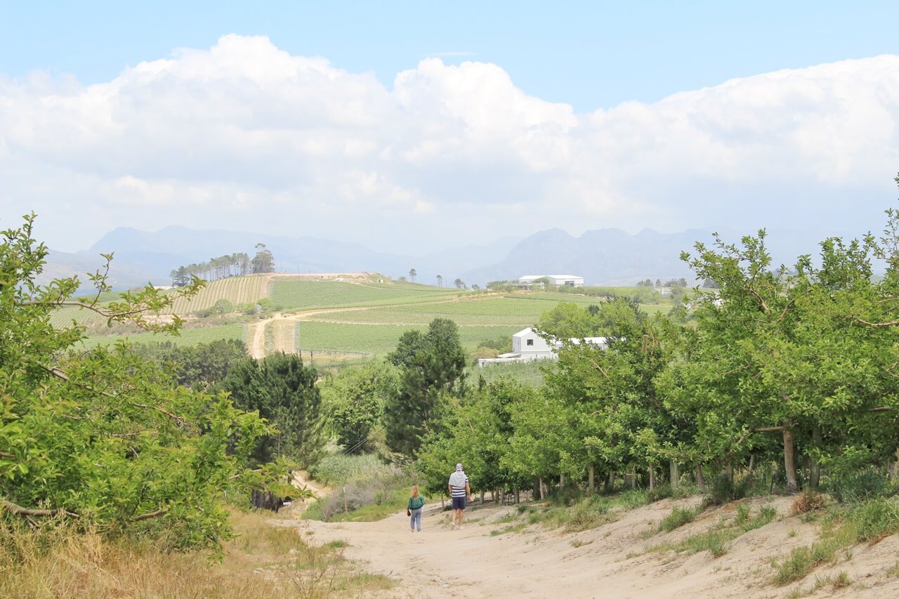 Randonnée Le Cap en famille Visite de Cape Town en famille Le Cap avec enfant | Blog VOYAGES ET ENFANTS