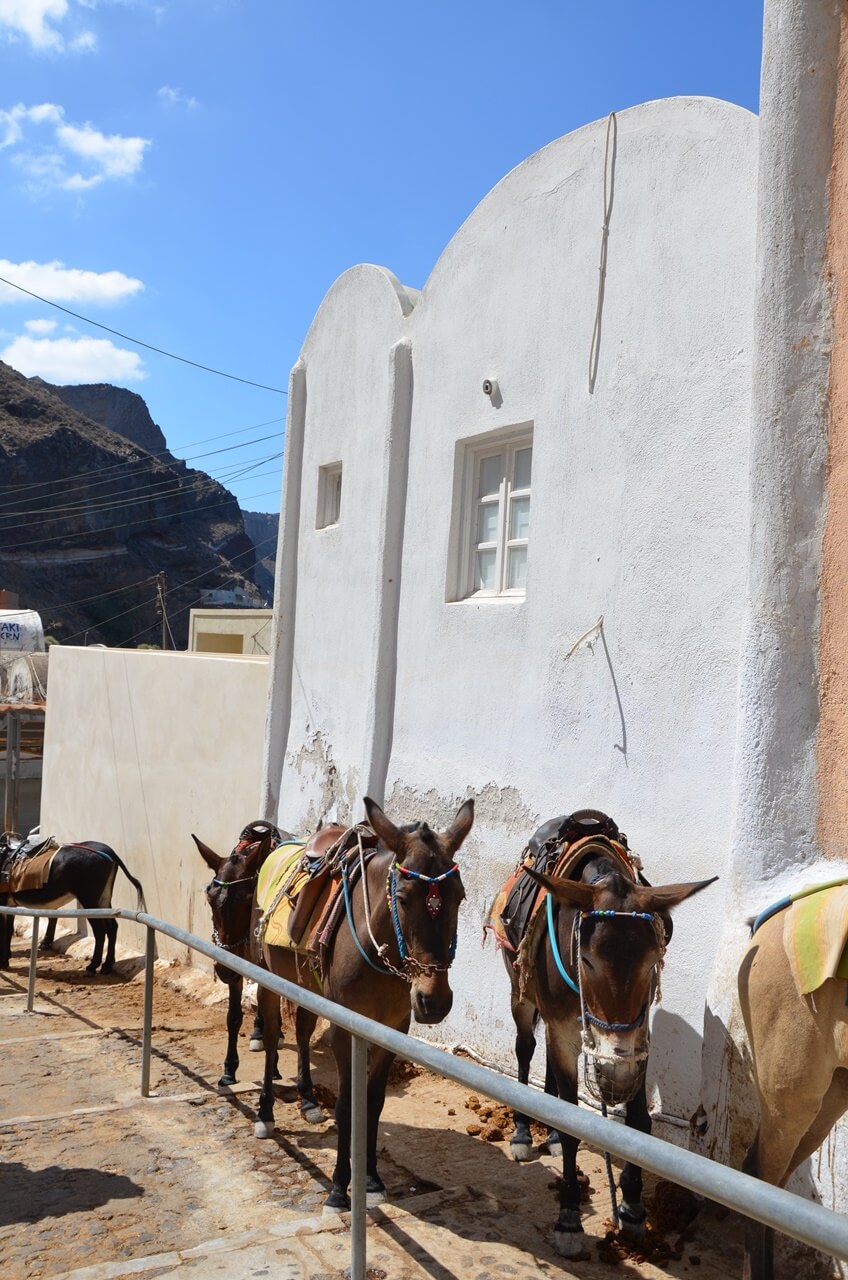 Vacances Santorin en famille Santorin en famille Vacances dans les Cyclades | Blog VOYAGES ET ENFANTS