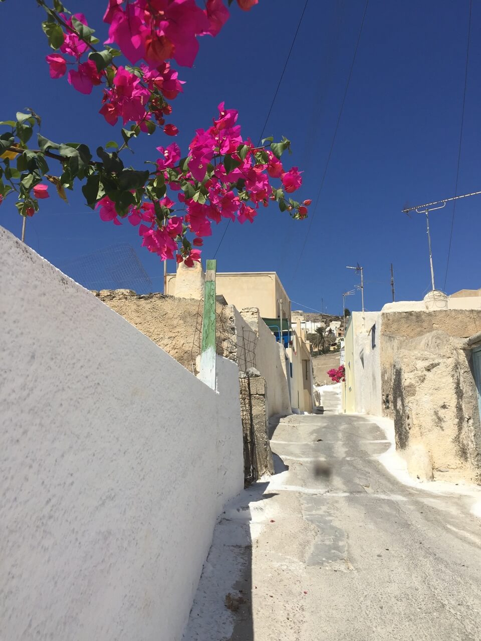 Voyage Santorin en famille Santorin en famille Vacances dans les Cyclades | Blog VOYAGES ET ENFANTS