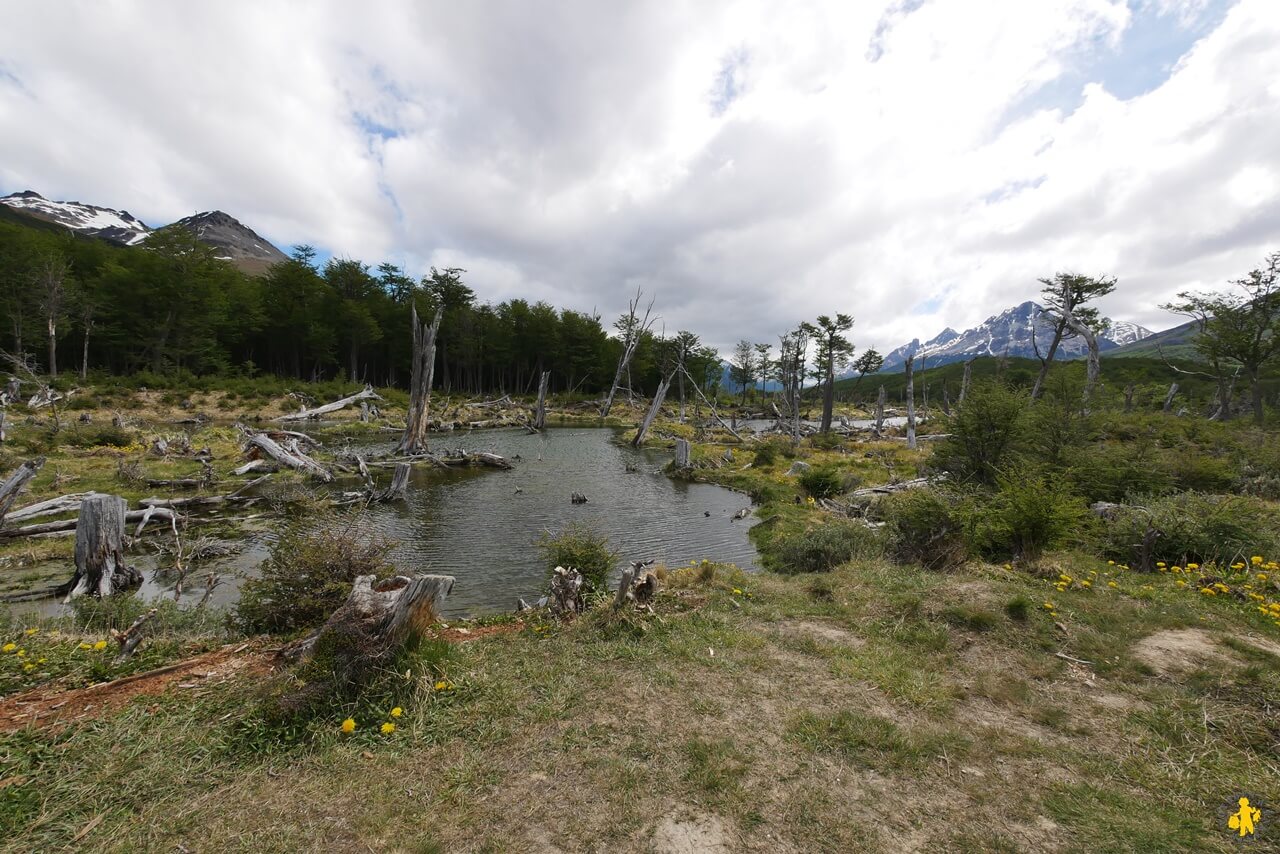 Visiter Ushuaia et la Terre de Feu argentine en famille