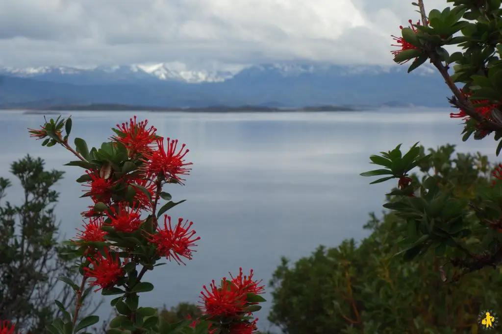 Visiter Ushuaia et la Terre de Feu argentine en famille