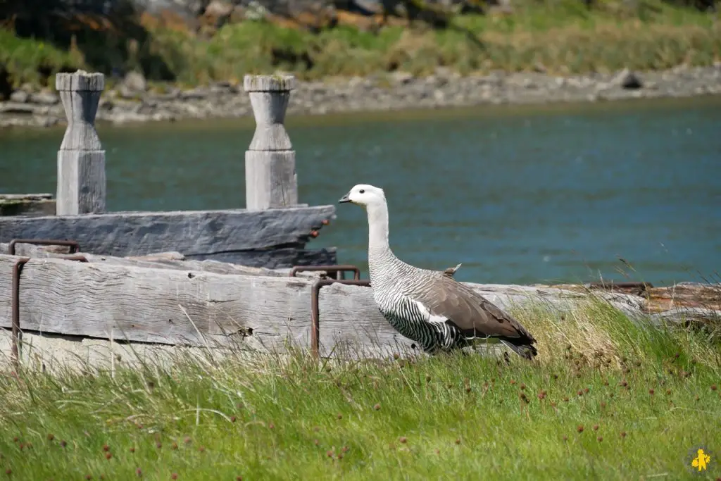 Visiter Ushuaia et la Terre de Feu argentine en famille