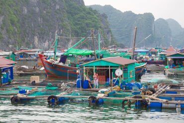 15 jours au Nord du Vietnam: Hanoi, Cat Ba et Ba Be