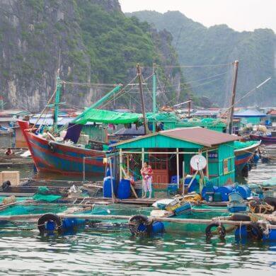 15 jours au Nord du Vietnam: Hanoi, Cat Ba et Ba Be