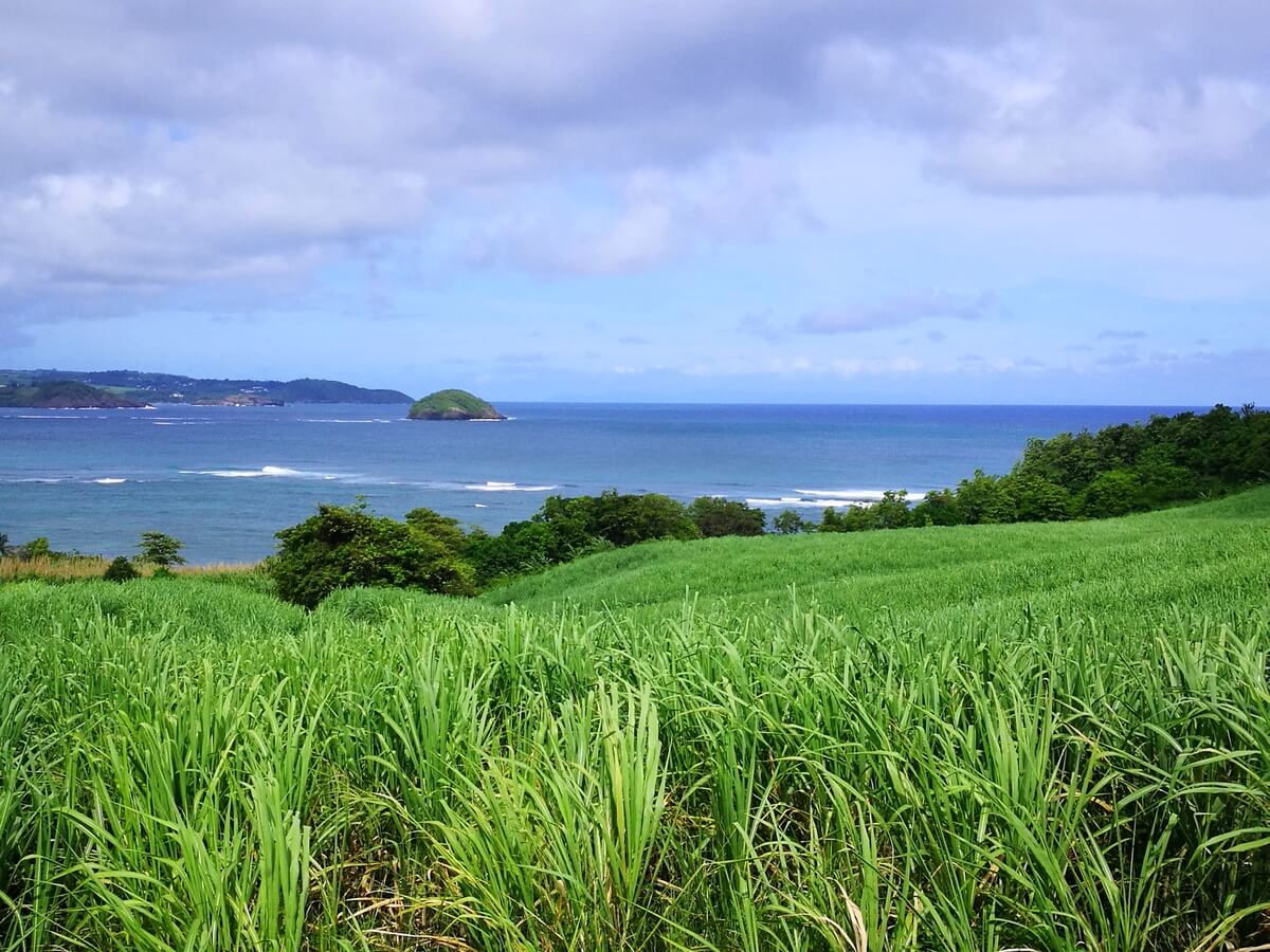 Paysage pour de belles vacances famililes en Martinique Vacances famille à la Martinique | Blog VOYAGES ET ENFANTS