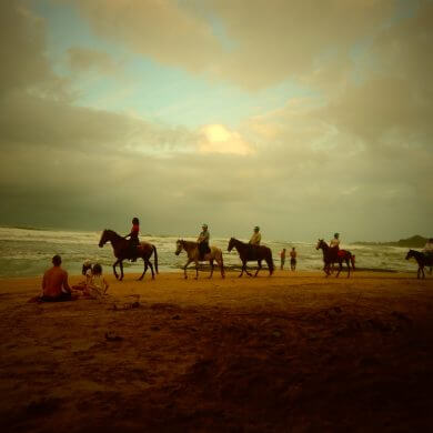 12 jours au Costa Rica