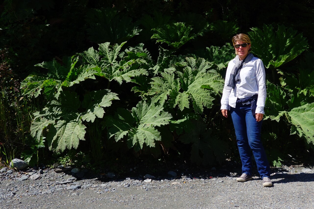 Carretera Austral en 4x4 que voir que faire en famille | Blog VOYAGES ET ENFANTS