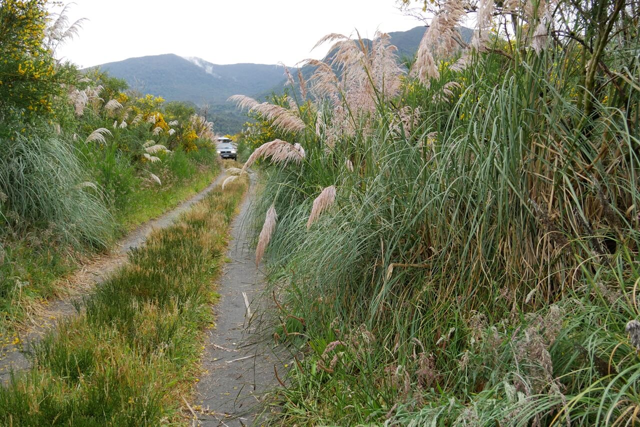 Carretera Austral en 4x4 que voir que faire en famille | Blog VOYAGES ET ENFANTS