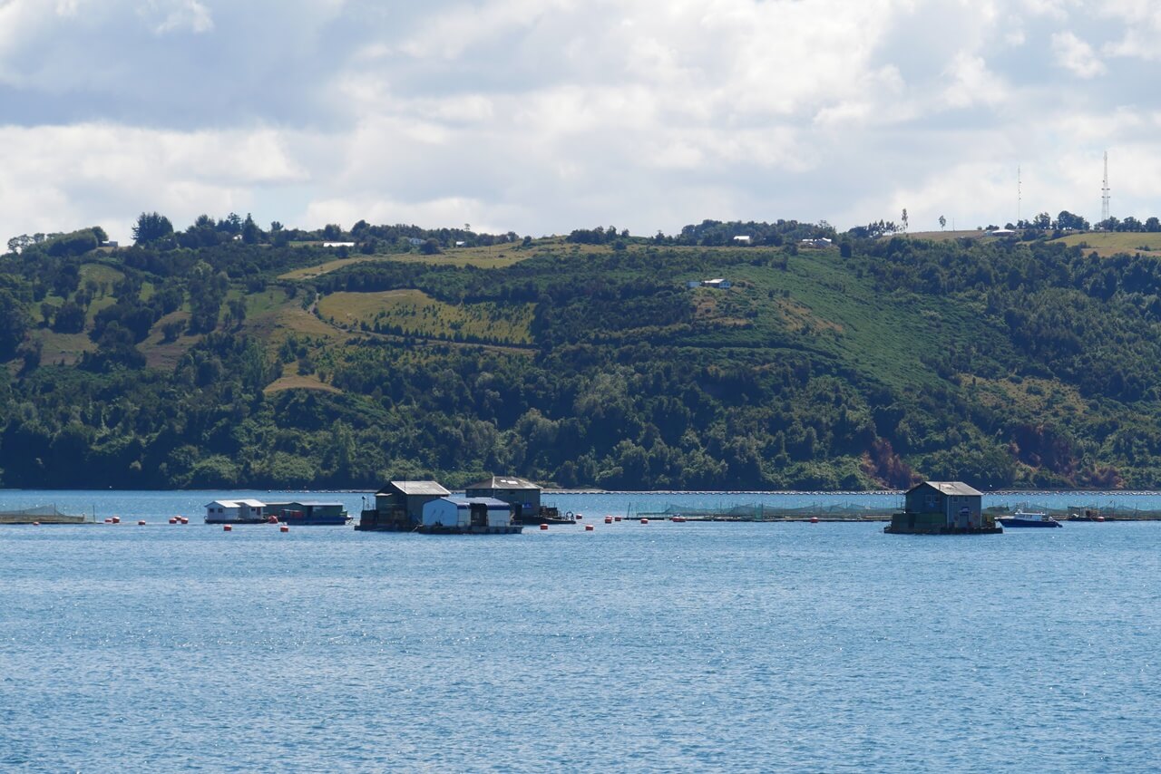 Chiloé en famille Chili avec enfant | Blog VOYAGES ET ENFANTS