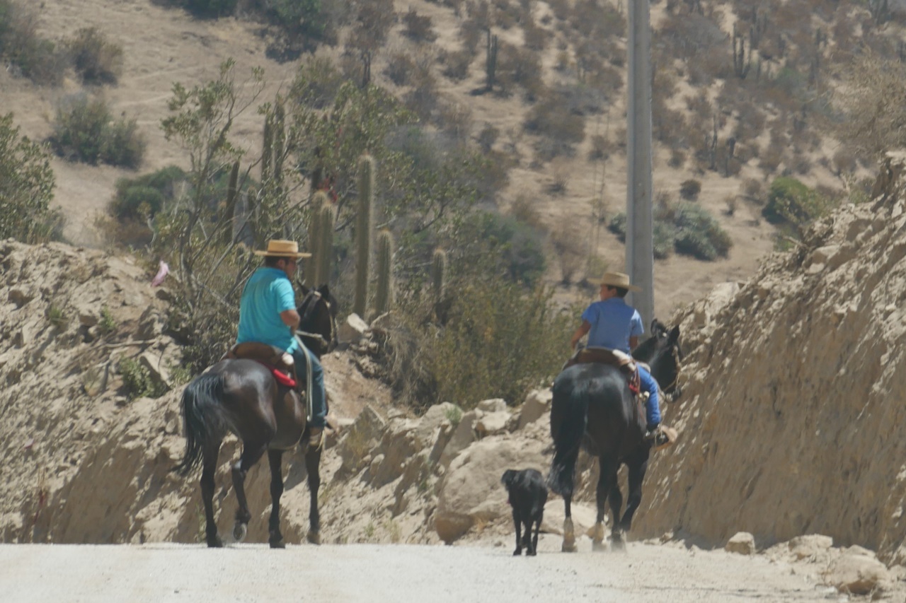 Vallée dElqui et Vicuna en 4x4 et en famille | Blog VOYAGES ET ENFANTS