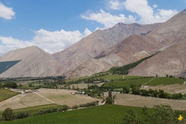 Visite Vallée Elqui ... en famille