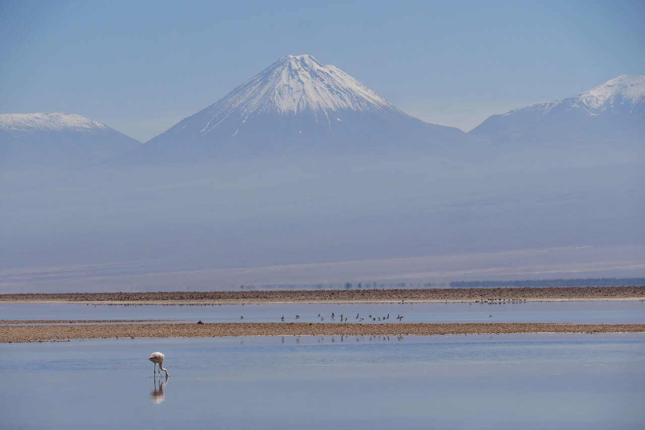 L Atacama en famille Paranal Chuquicamata geyser Tatio