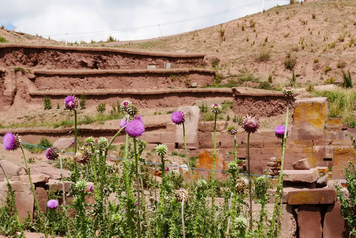 Lac Titicaca en famille côté Bolivie et Pérou | Blog VOYAGES ET ENFANTS