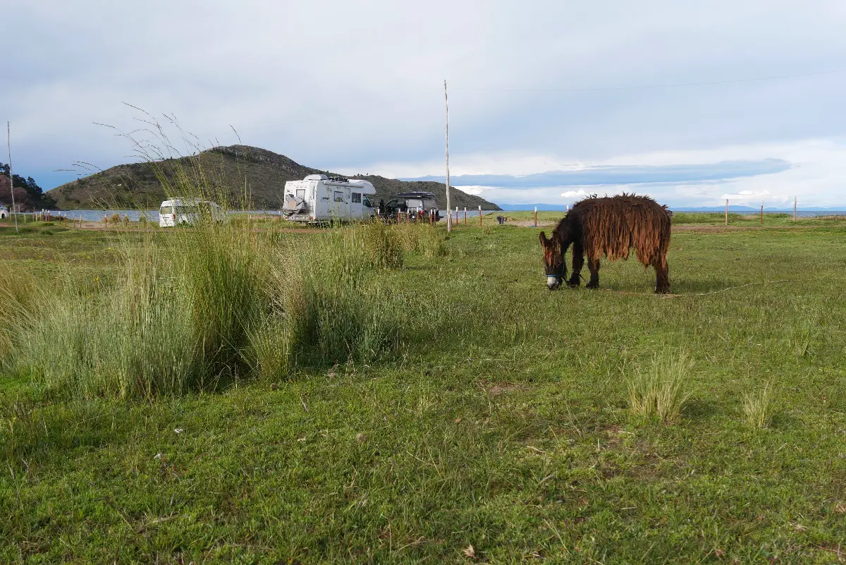 Lac Titicaca en famille côté Bolivie et Pérou | Blog VOYAGES ET ENFANTS