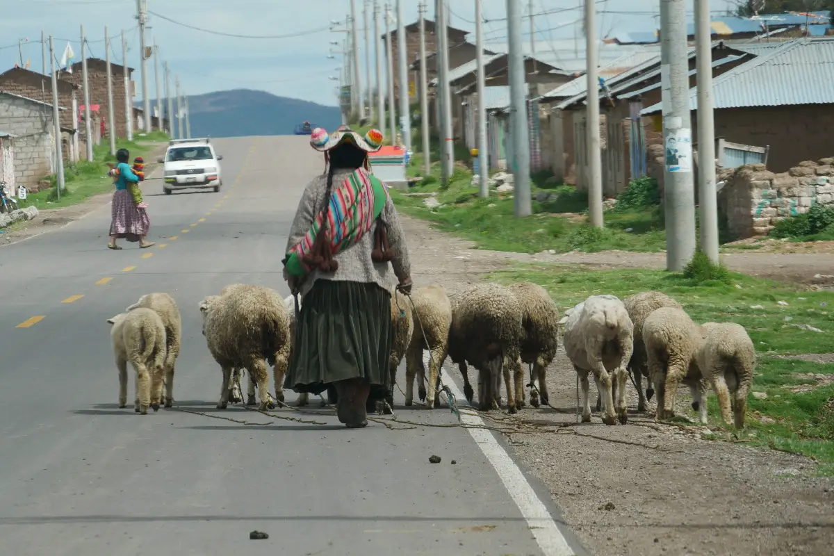 Lac Titicaca en famille côté Bolivie et Pérou | Blog VOYAGES ET ENFANTS