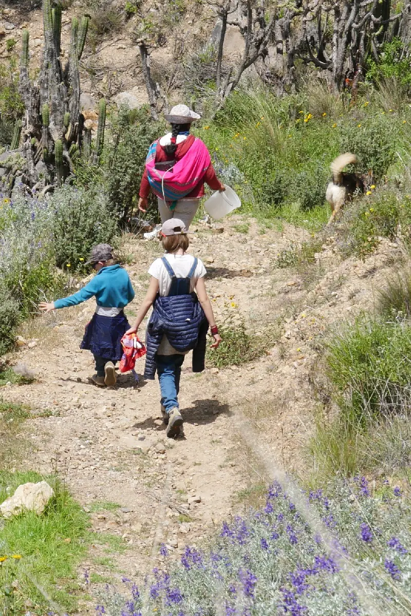 Canyon de Colca Visite et activités en famille ou pas | Blog VOYAGES ET ENFANTS