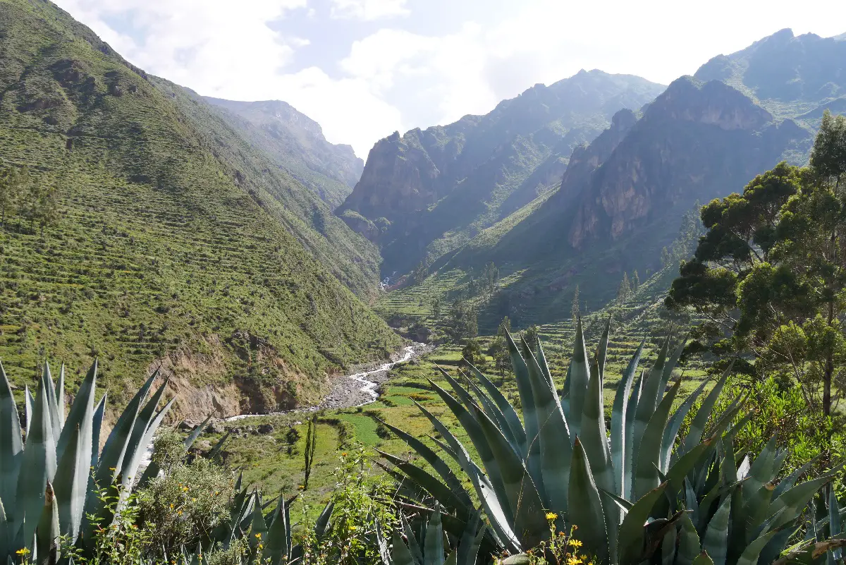 Visiter le canyon de colca Canyon de Colca Visite et activités en famille ou pas | Blog VOYAGES ET ENFANTS