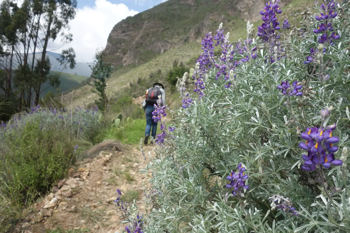 Canyon de Colca Visite et activités en famille ou pas | Blog VOYAGES ET ENFANTS