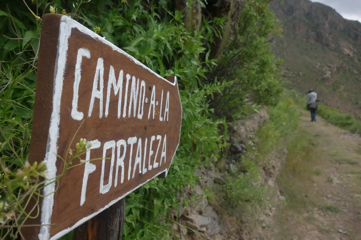 Canyon de Colca Visite et activités en famille ou pas | Blog VOYAGES ET ENFANTS