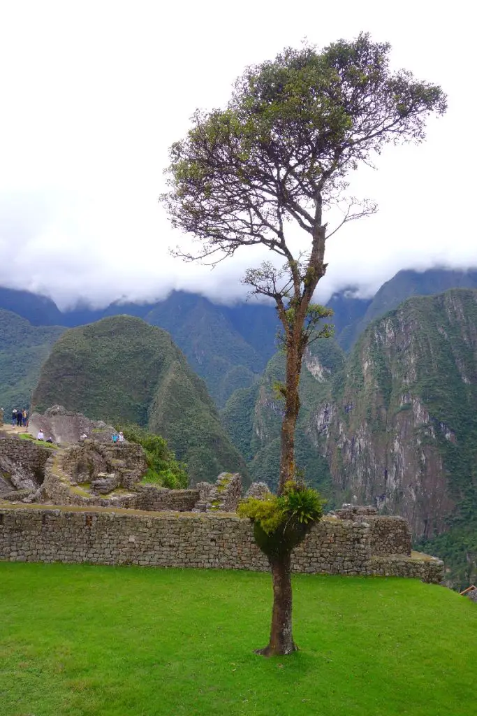 Machu Picchu en famille Machu Picchu en famille notre visite infos pratiques blog