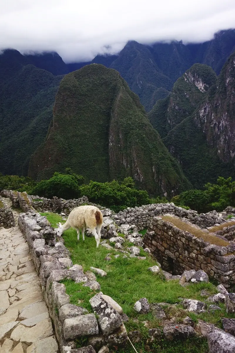 Machu Picchu en famille visite infos pratiques Blog VOYAGES ET ENFANTS